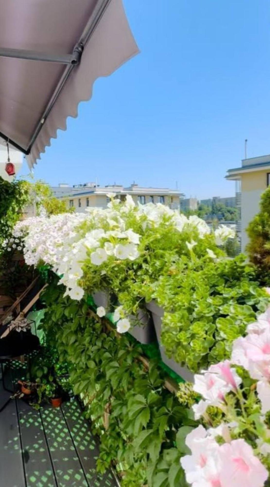 Shiraz Trio Apartament Варшава Екстериор снимка